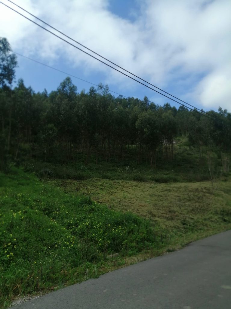 WhatsApp Image 2023-08-09 at 12.59.04 (1)
